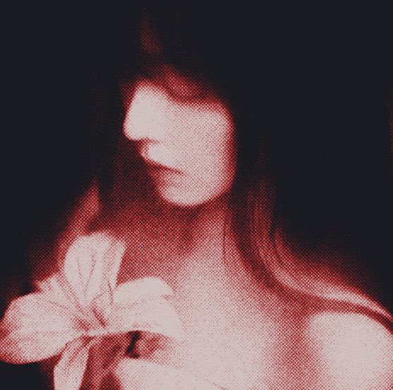 ᅠᅠᅠᅠᅠᅠᅠᅠᅠᅠ𝐧𝐢𝐠𝐡𝐭𝗆𝖺𝗋𝖾𝗌. tweet media