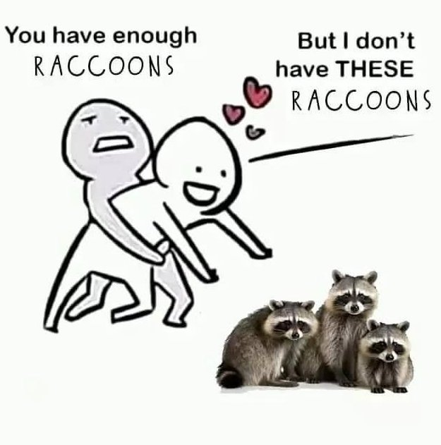 Why you should have a Raccoon tweet media