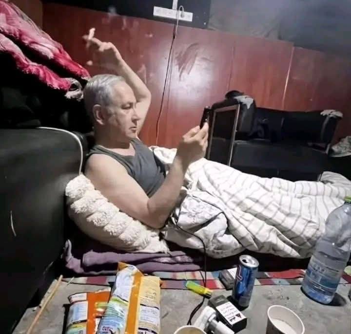 Saint Cool 🖖😎🇮🇷 tweet media