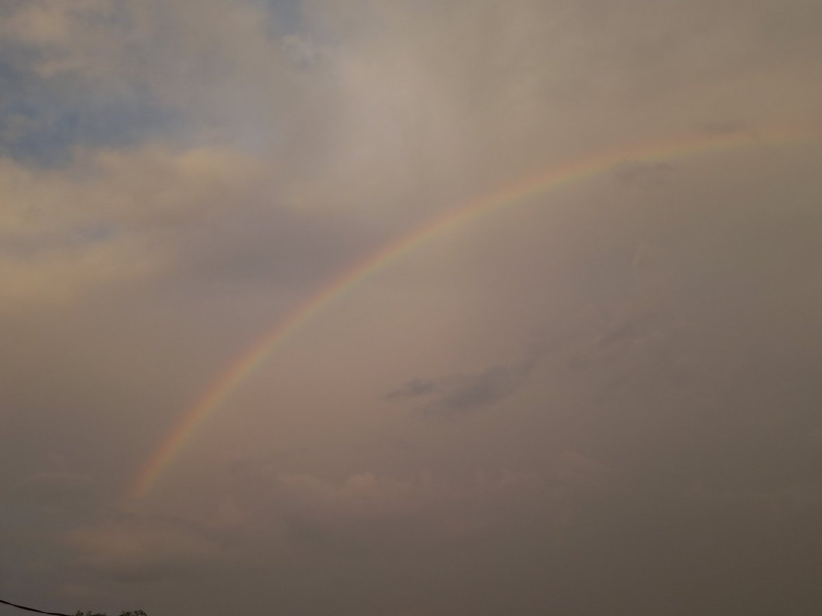 Good morning after rain🌱🌦🌈