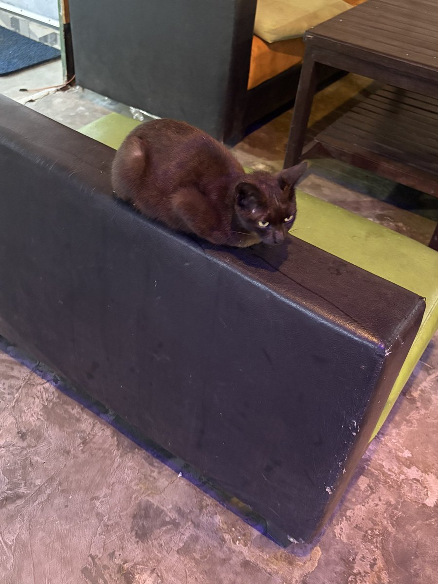 마진오 tweet media