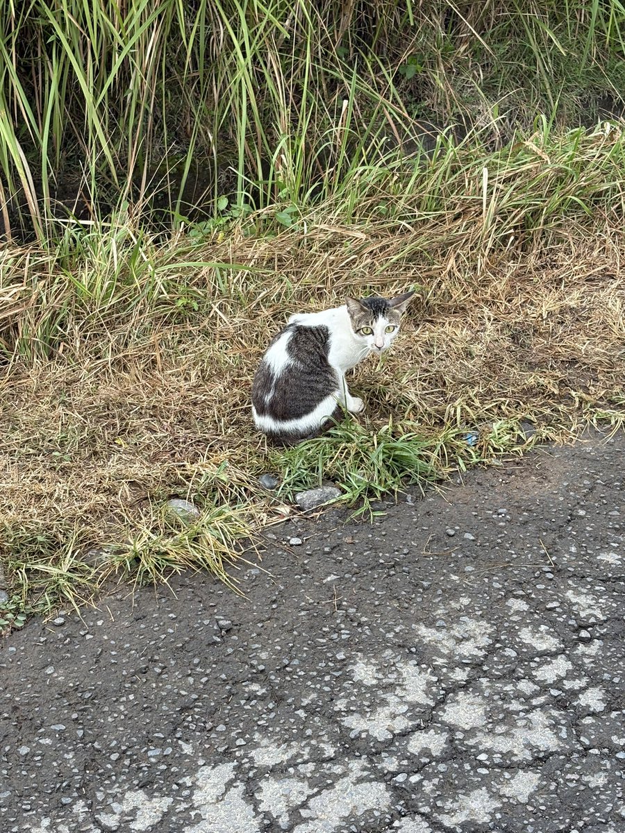 마진오 tweet media