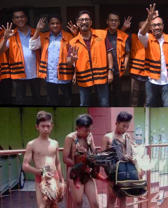 @hansssolo tweet media