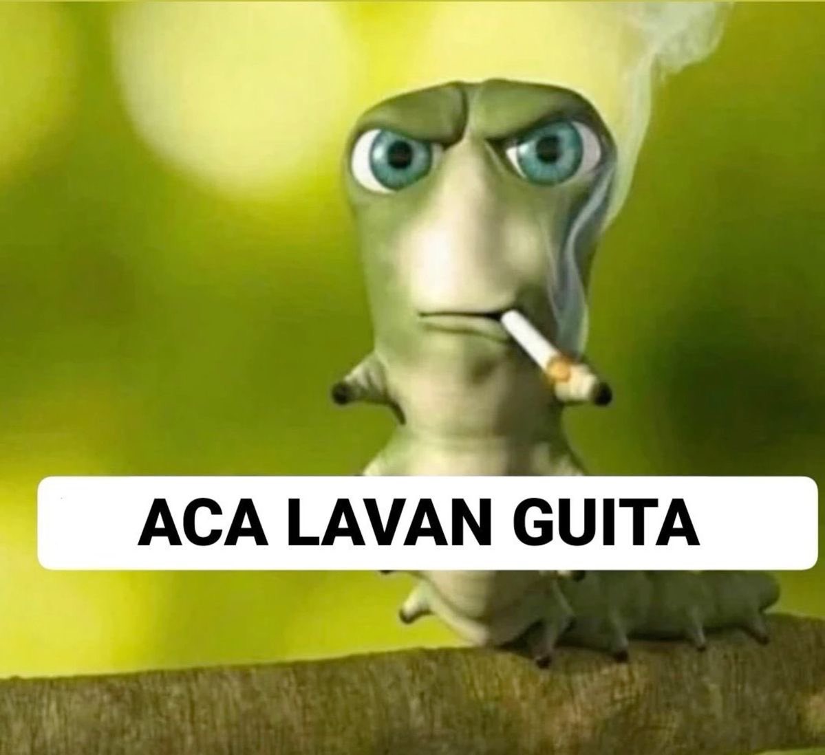 roma bangtanera🇺🇾 tweet media