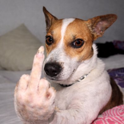 tive q mudar minha foto de perfil pro jorge mandando >>>> você <<<< tomar no cu