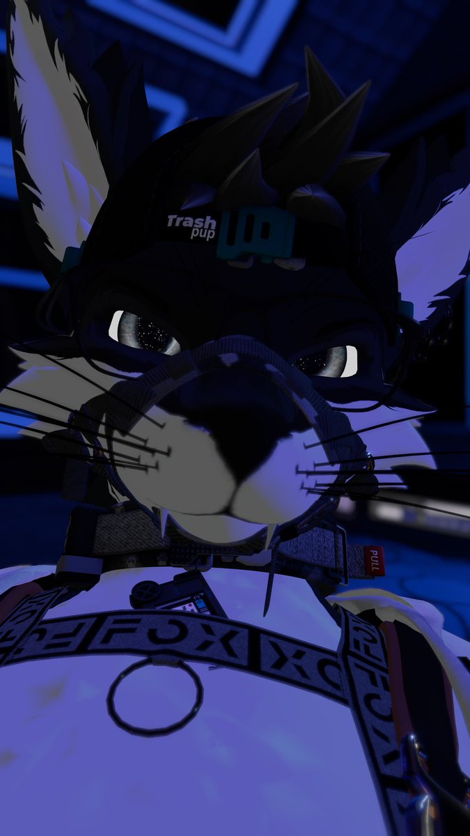 NexioQ'u tweet media