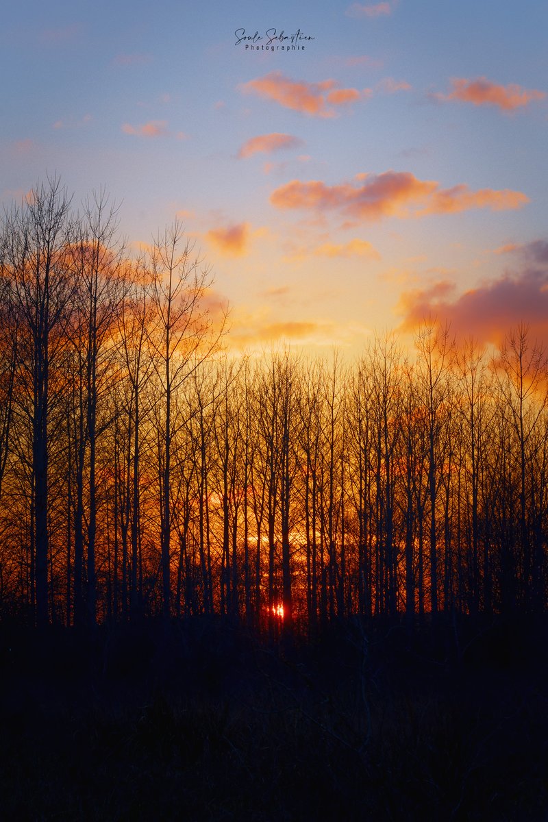 Valgone_photo's tweet image. Ces précieuses dernières secondes. Those precious last few seconds.
#photographyIsArt #landscapephotography