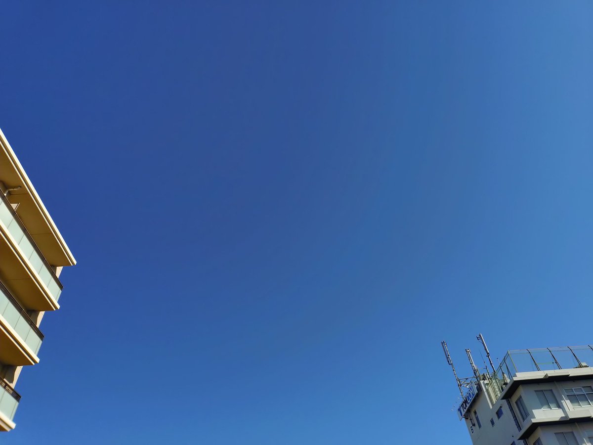 ひでブ〜 tweet media