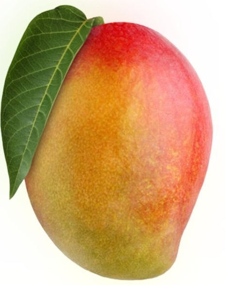 Zappa's Wisdom Trooth tweet media