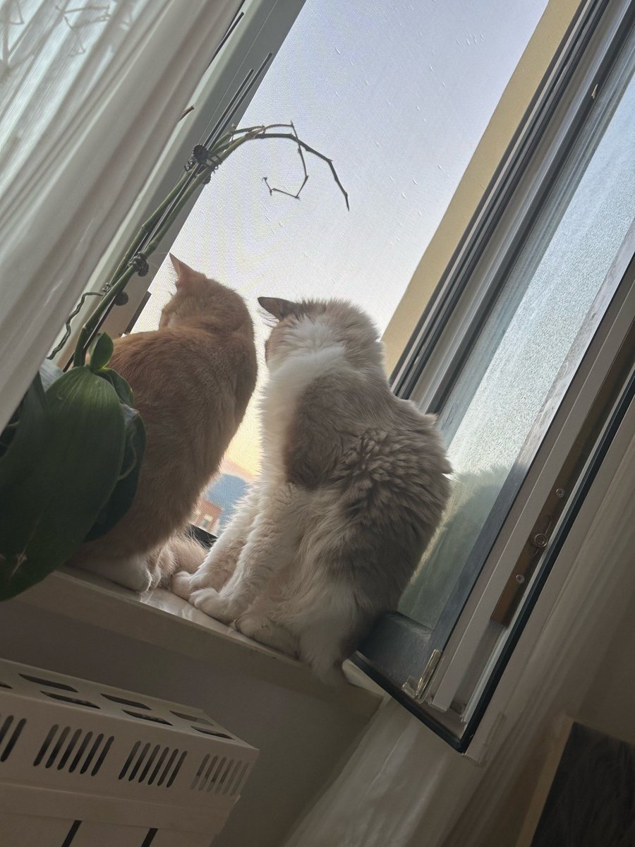 Mark Schlotterbeck tweet media