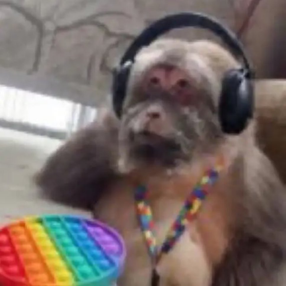 Losk Fee tweet media