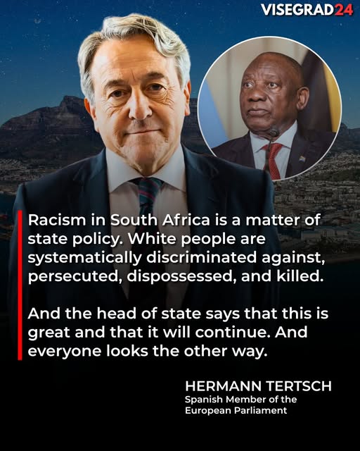 Alice VL tweet media