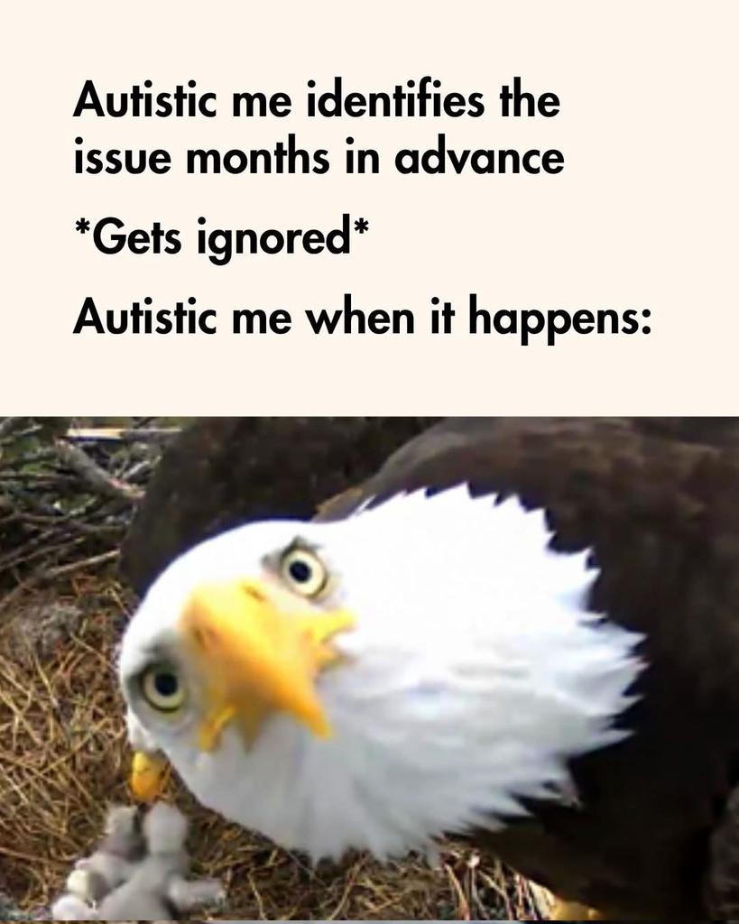 No Nonsense Neurodivergent tweet media