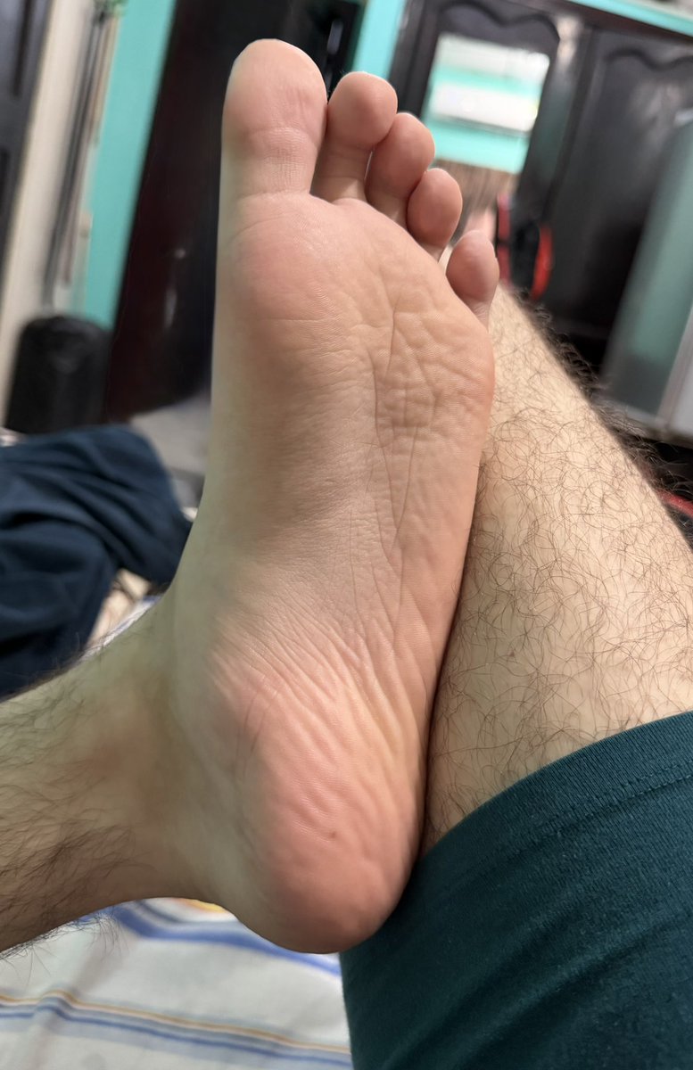 Timid Toes tweet media