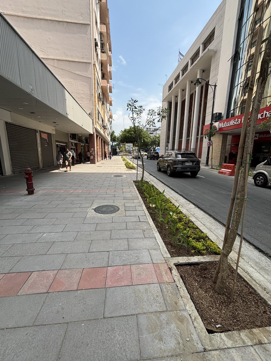 Luis Alfonso Saltos tweet media