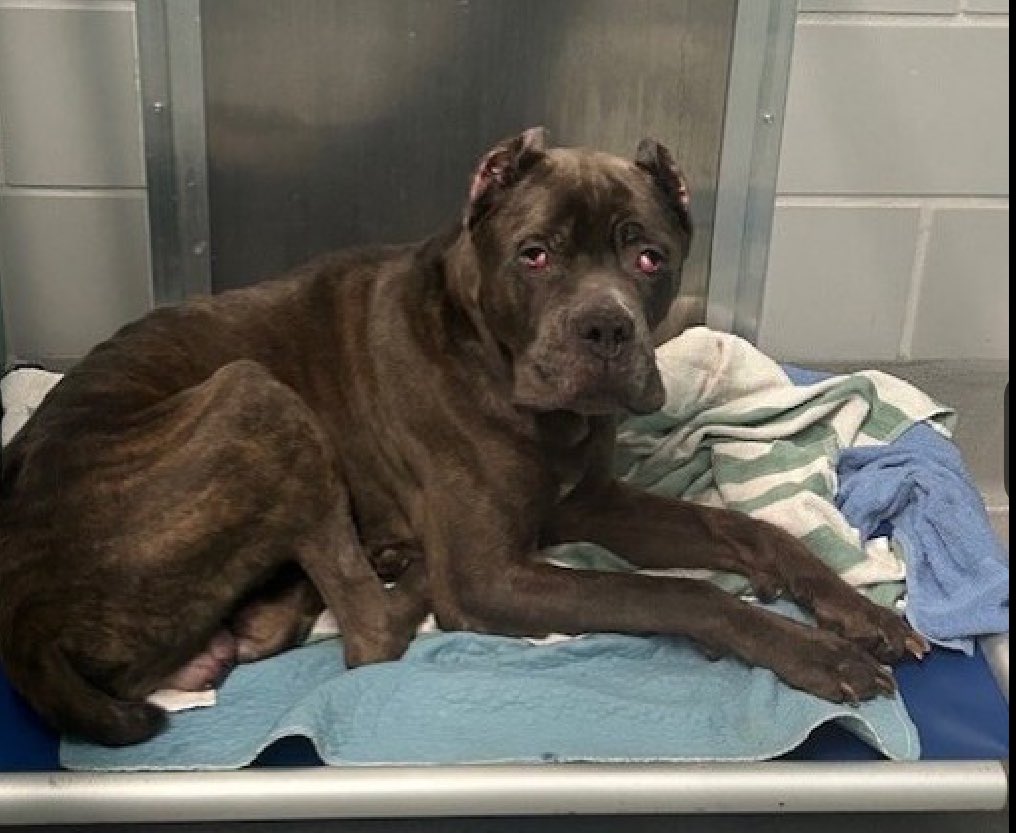 Quinn 💛(G.Quinn Rogers) tweet media