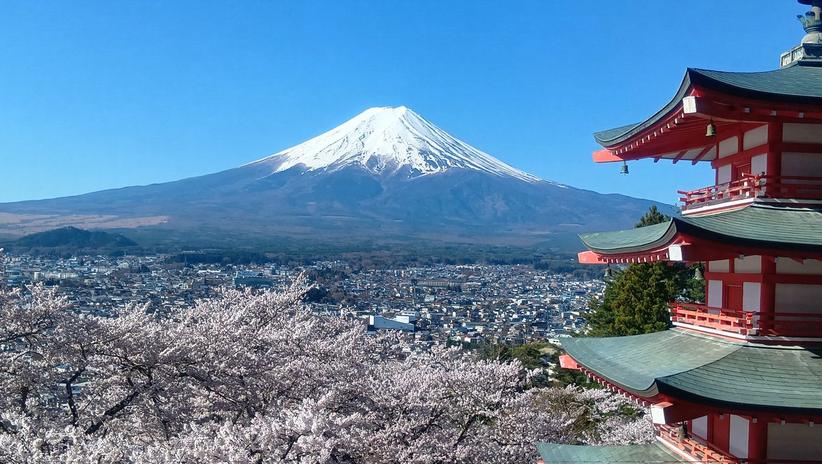 Ｄのオヤヂ tweet media