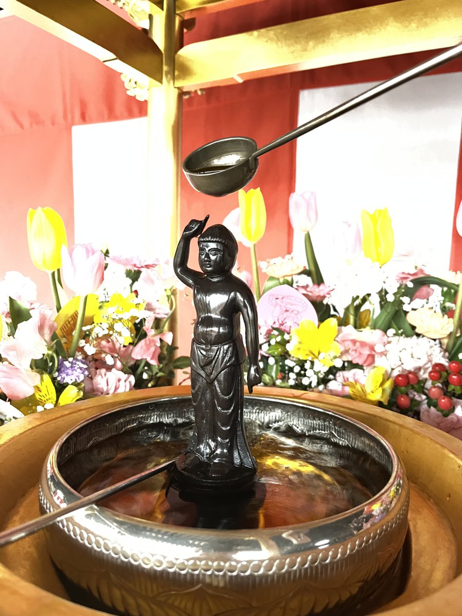 ザキ丸 tweet media