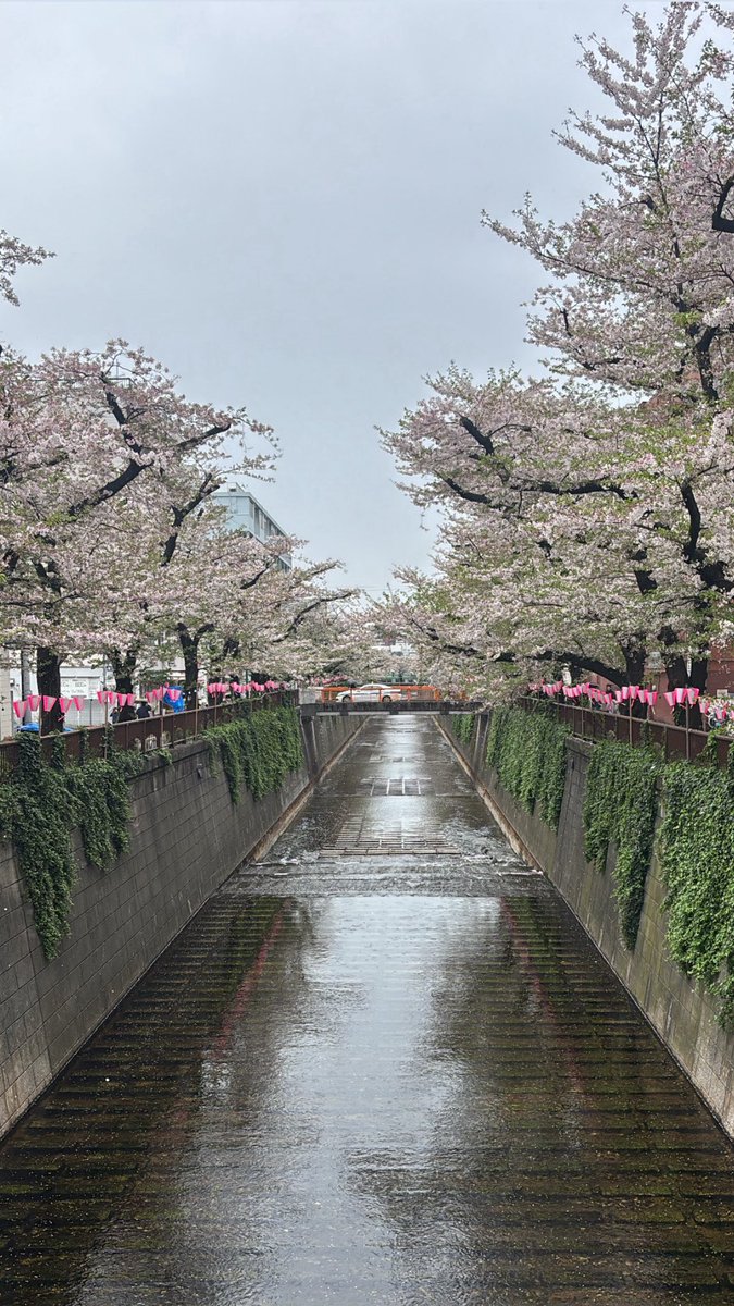 Yasuhiro Nakamura tweet media