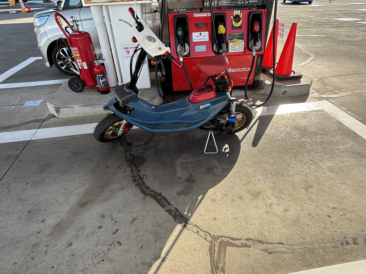 seed ベビメタおじさん tweet media