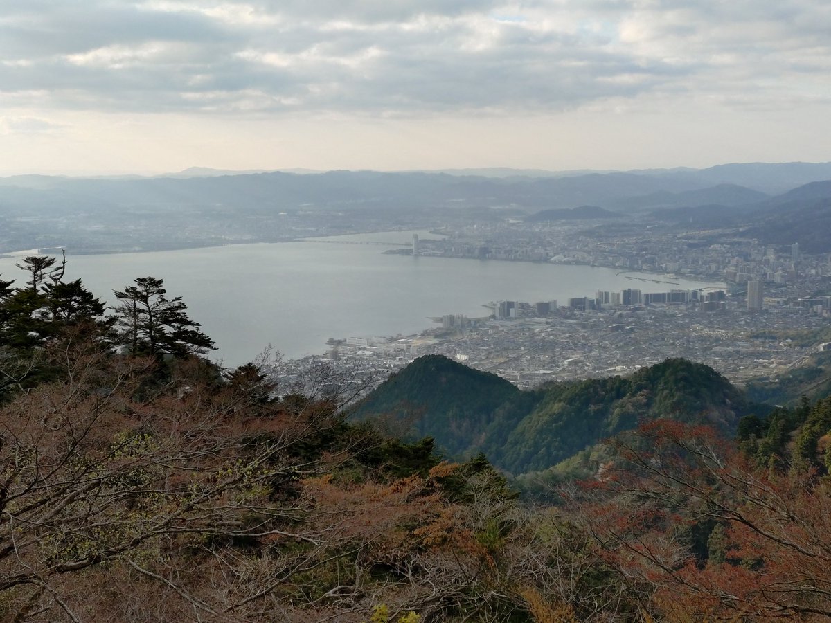 坂本ケーブル【公式】 tweet media