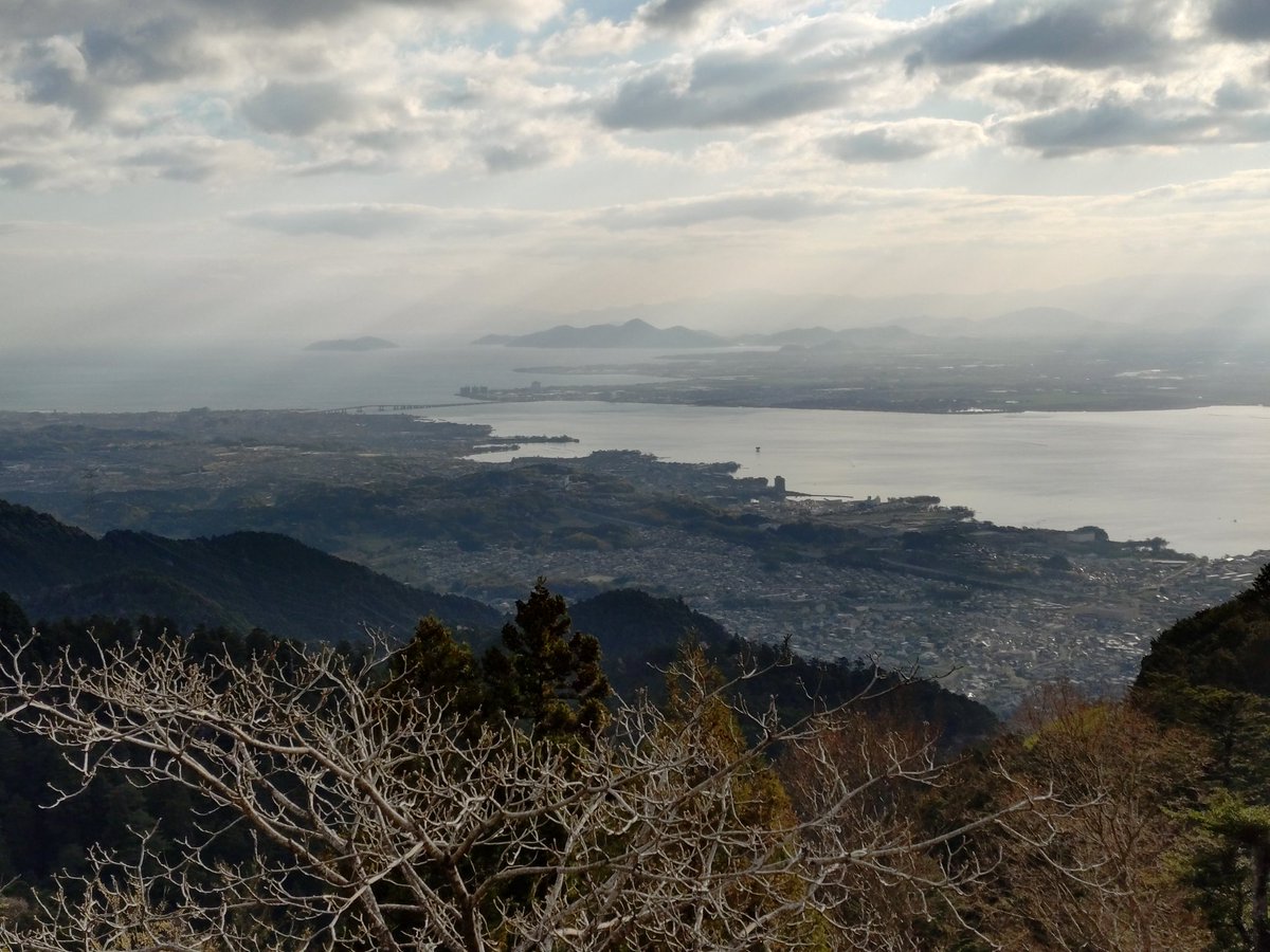 坂本ケーブル【公式】 tweet media