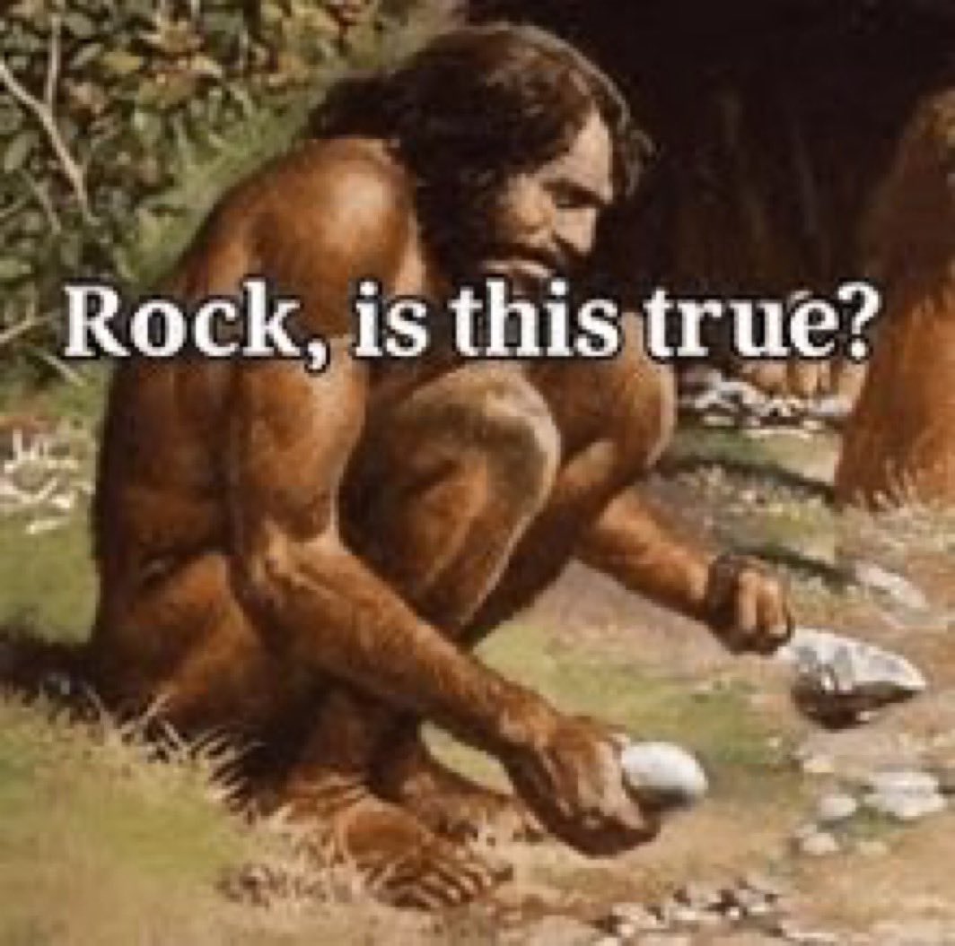 Rhys Campbell tweet media