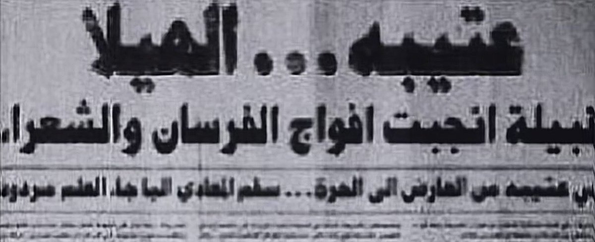 الننجم الببرقاوي . tweet media