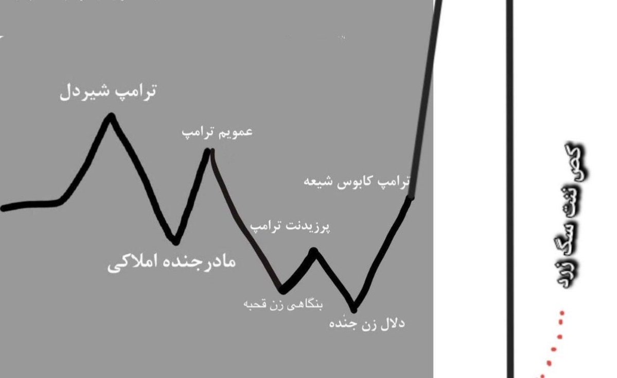 هیچکاک🇮🇷 tweet media
