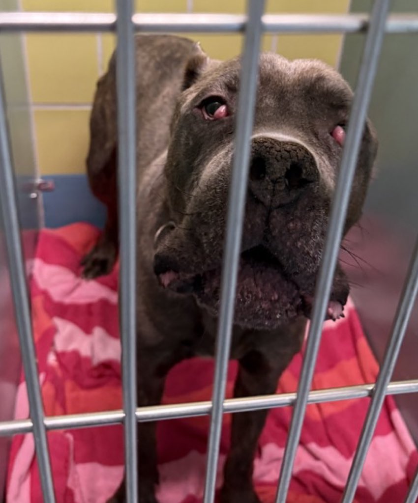 Quinn 💛(G.Quinn Rogers) tweet media