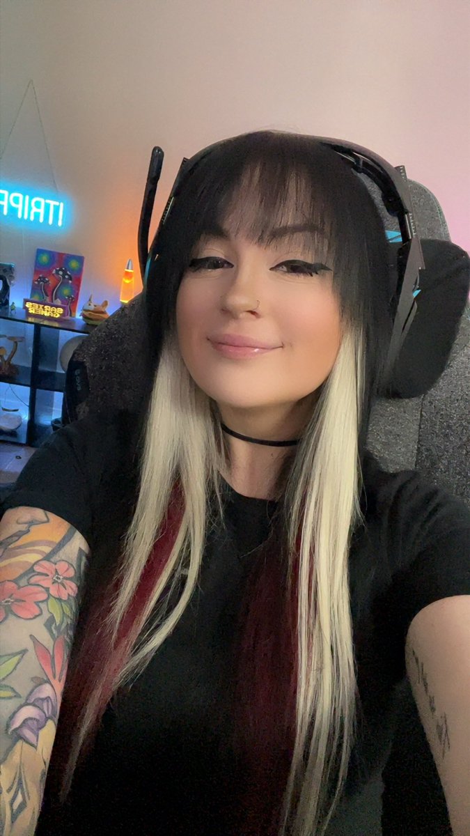 SariesGamer tweet media