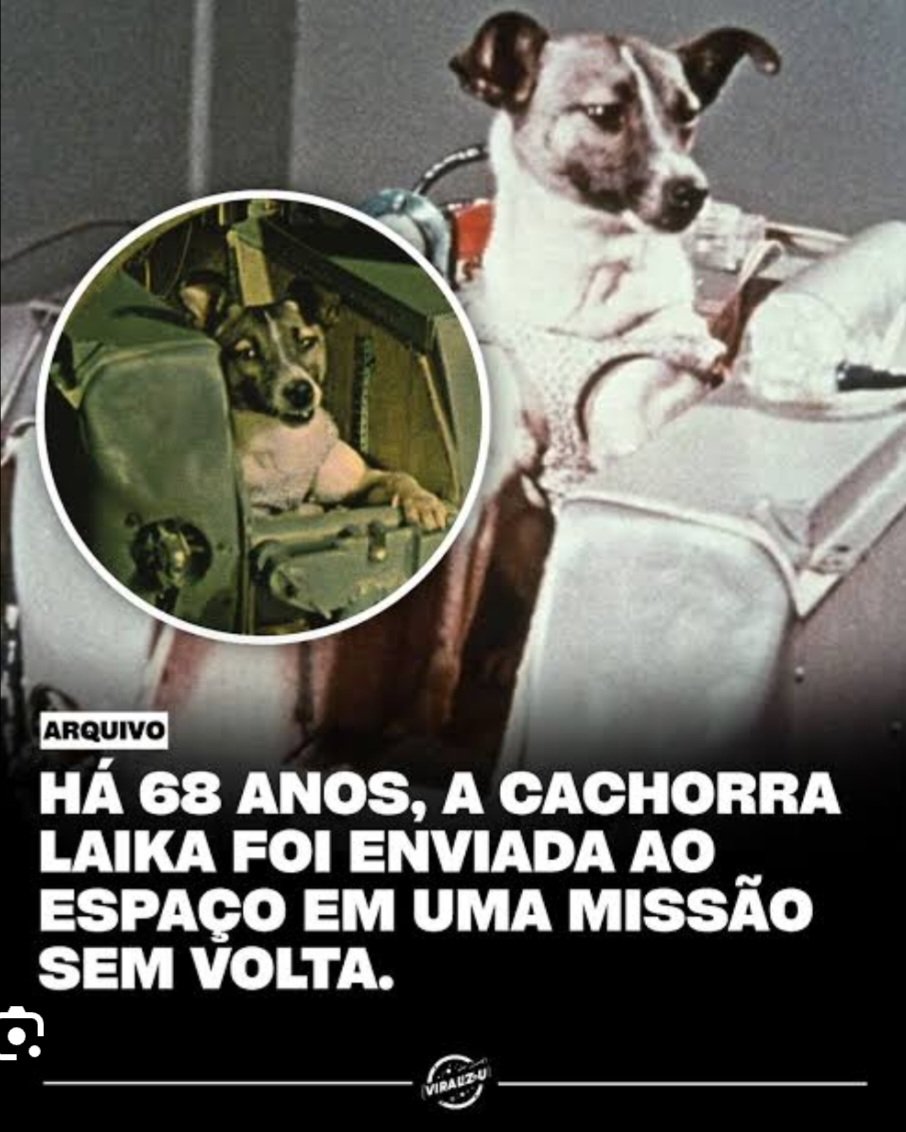 Paulo de Tarso tweet media