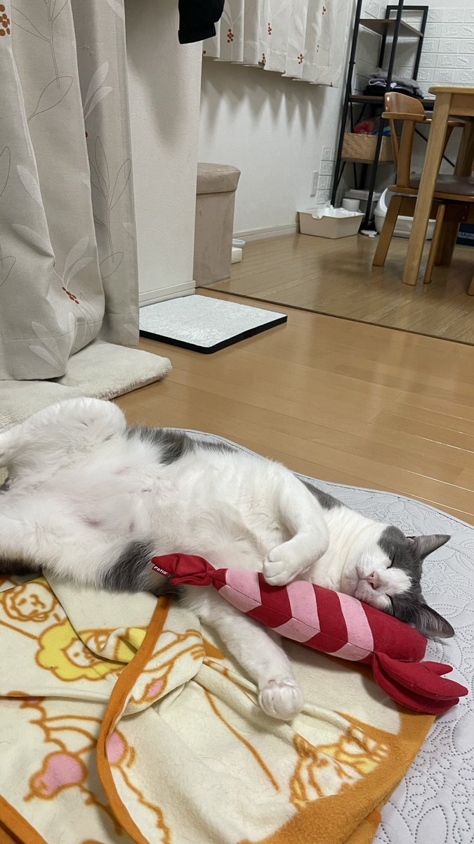 sourire_machida tweet media