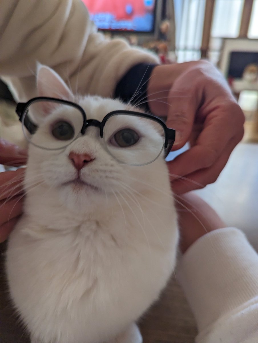 クロノス tweet media