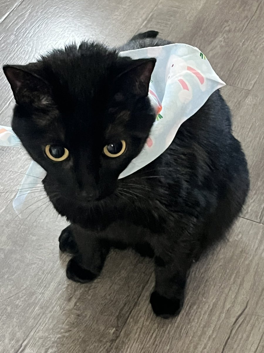 🎃ROSIE🎃 tweet media