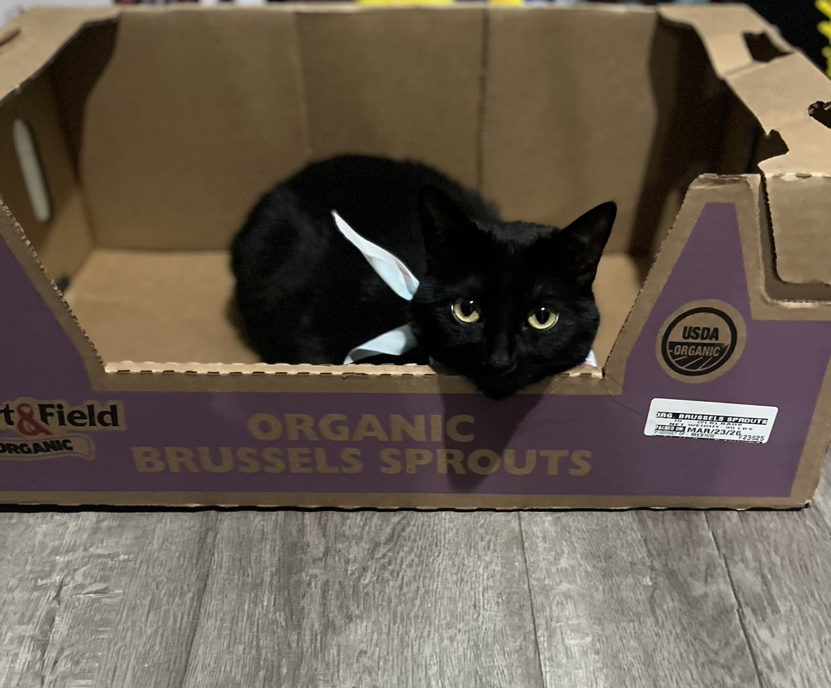 🎃ROSIE🎃 tweet media