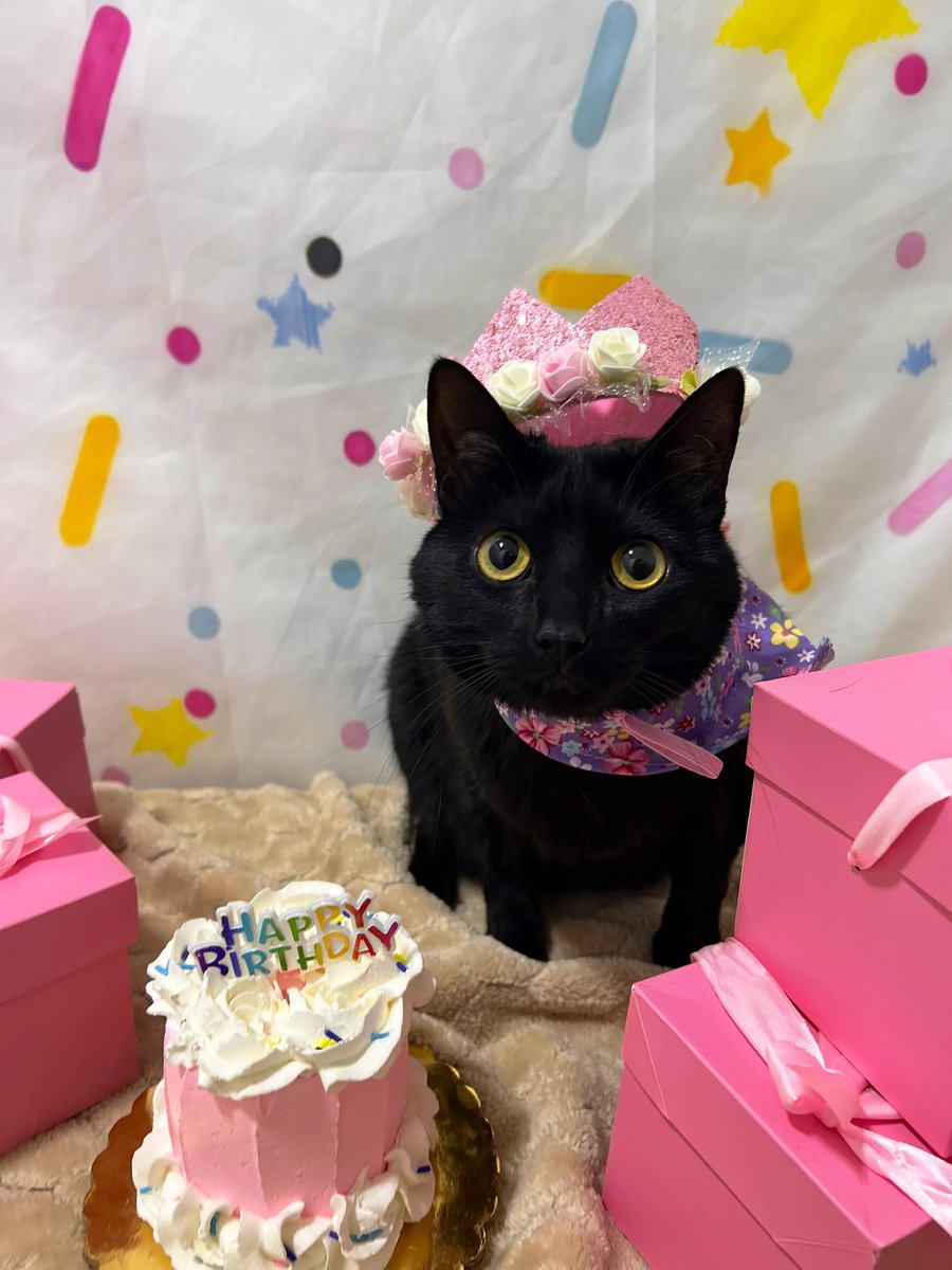 🎃ROSIE🎃 tweet media