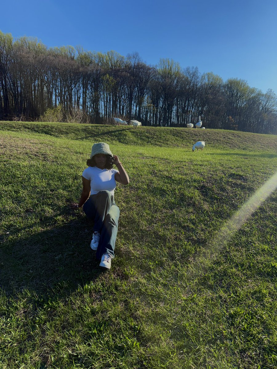 Seray 🇸🇱 tweet media