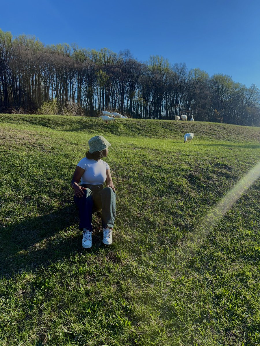 Seray 🇸🇱 tweet media