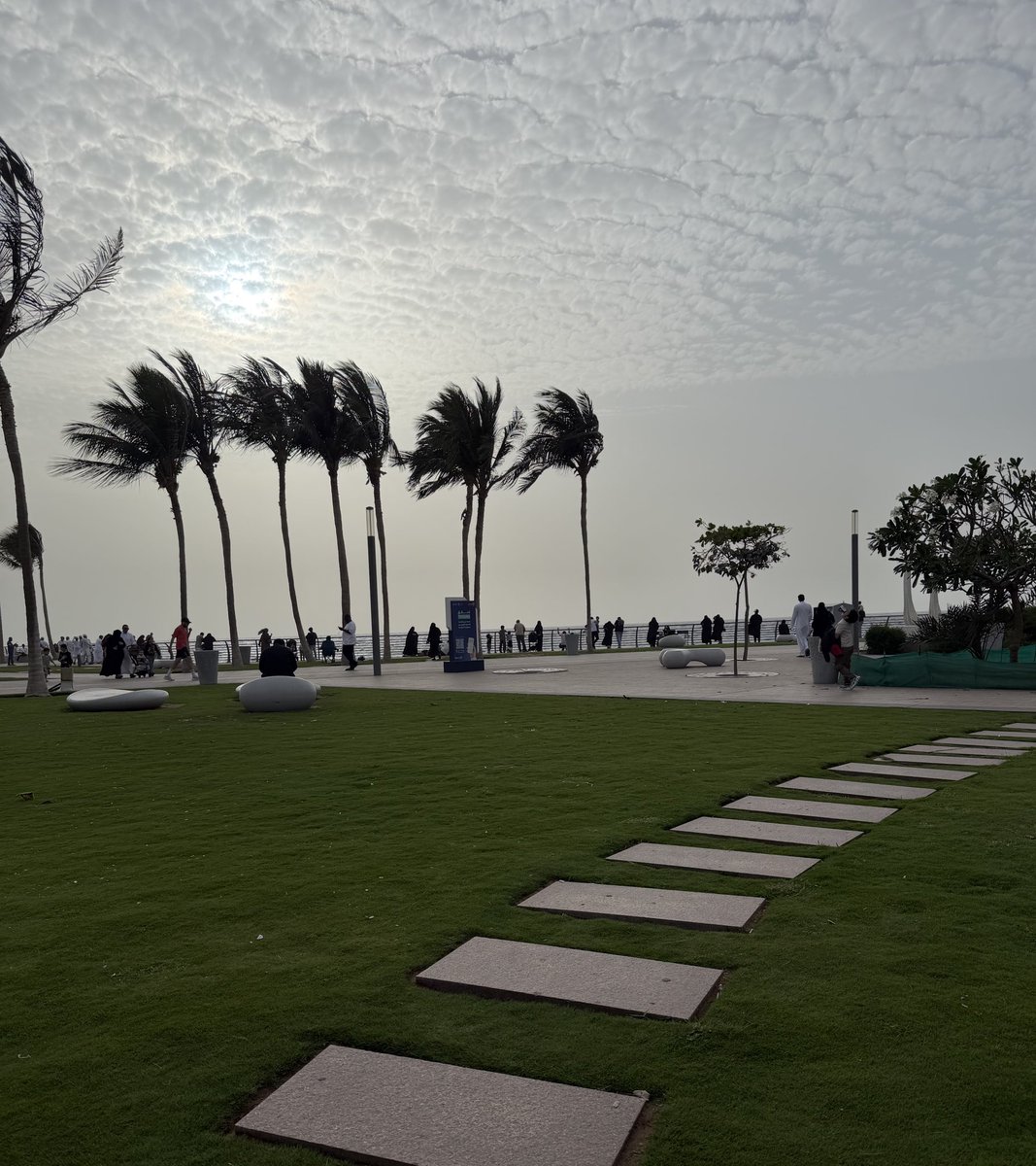 عفراء المري | للعقارات 🇸🇦 tweet media