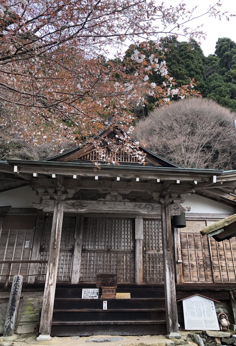 月輪寺【公式】 tweet media