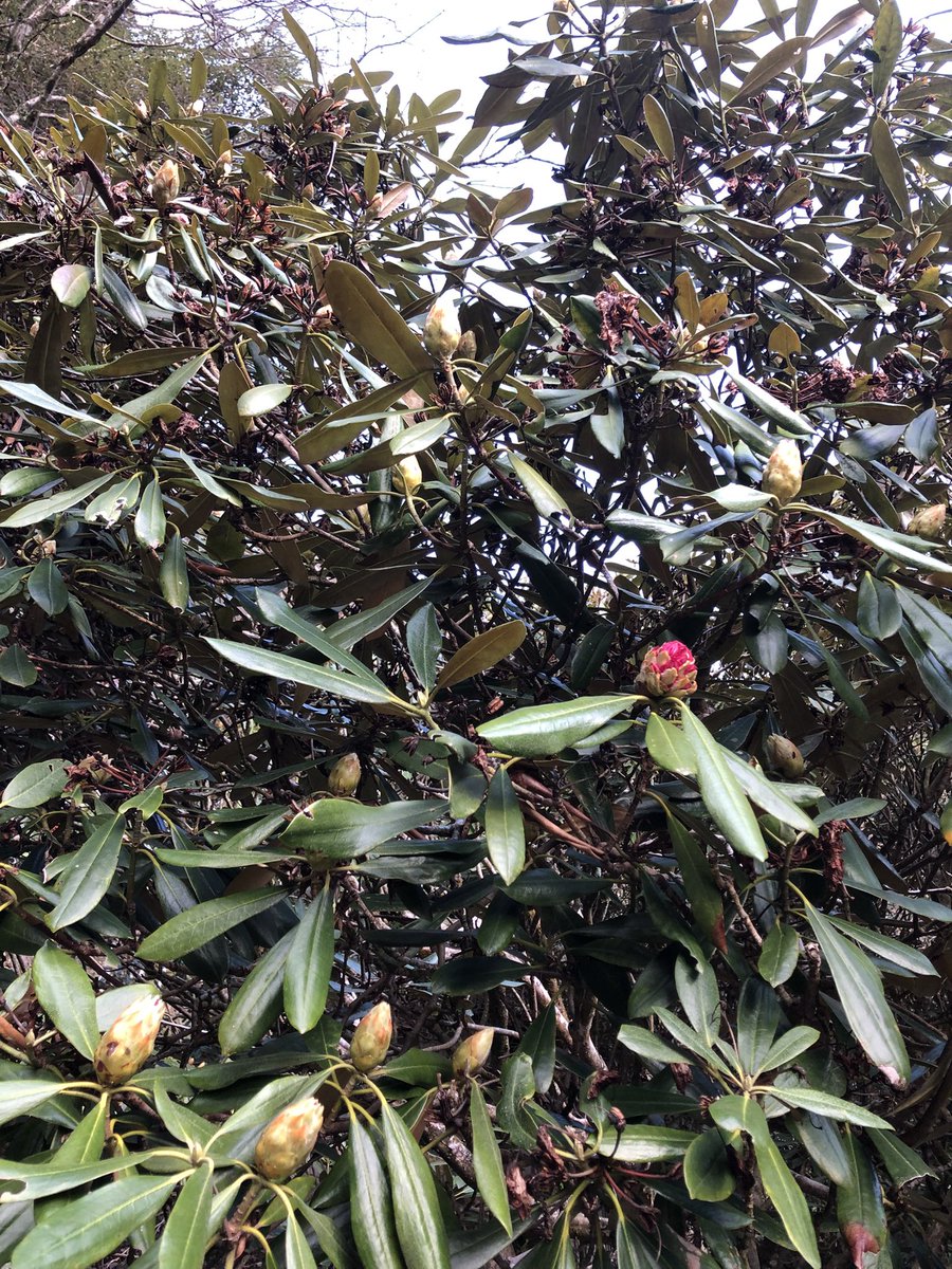 月輪寺【公式】 tweet media