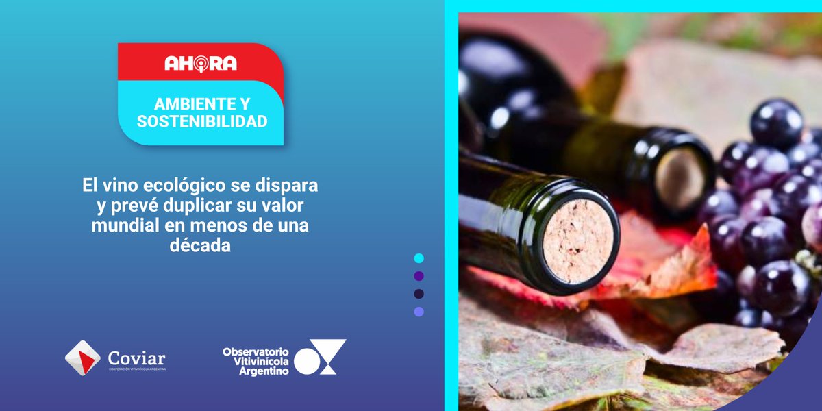 Observatorio Vitivinícola Argentino tweet media