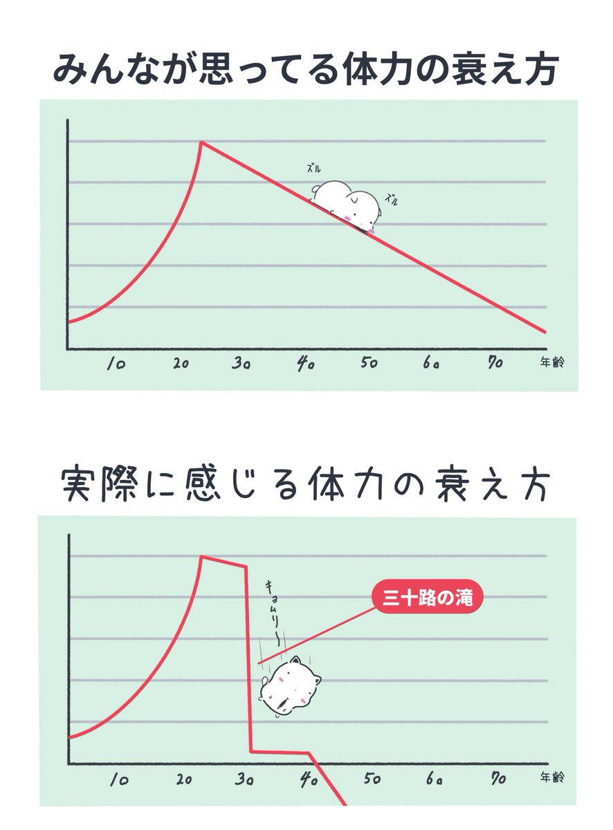 まよねこの勤労🐈💨 tweet media