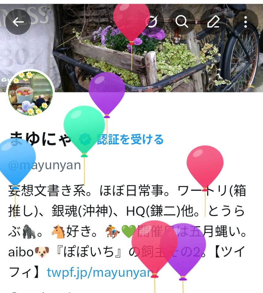 まゆにゃ tweet media