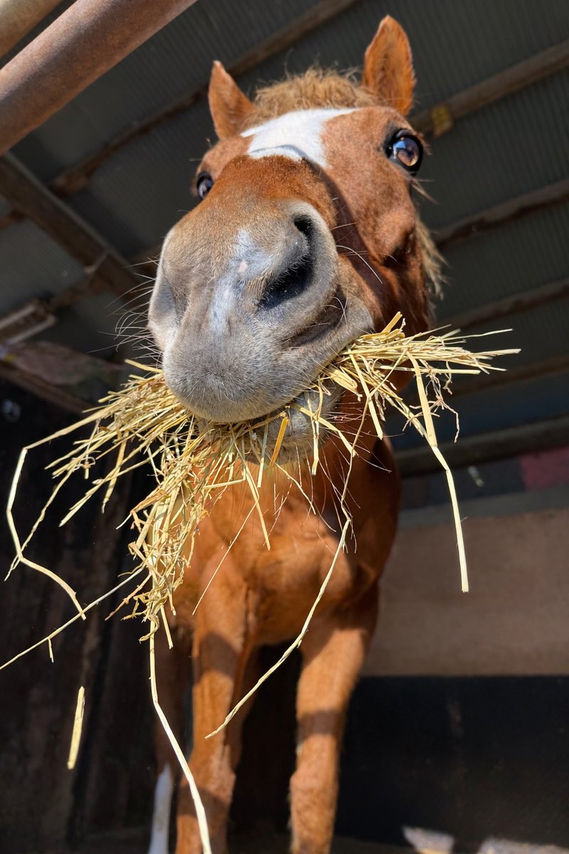 キネand(ミヤビ) tweet media