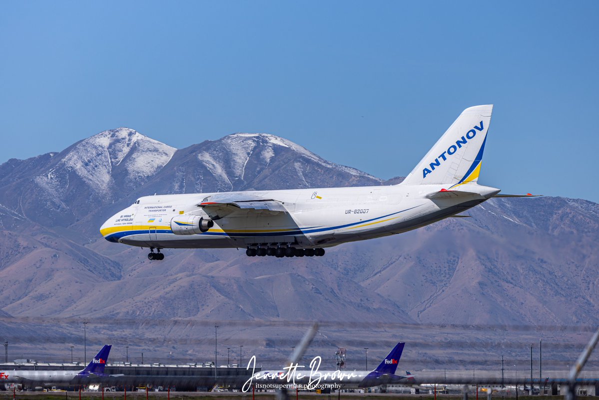 Artist Jennette Brown tweet media