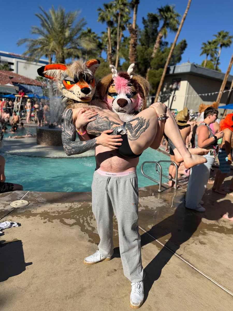 🦴Burning_Sea 🔜LVFC,TFF,FWA tweet media