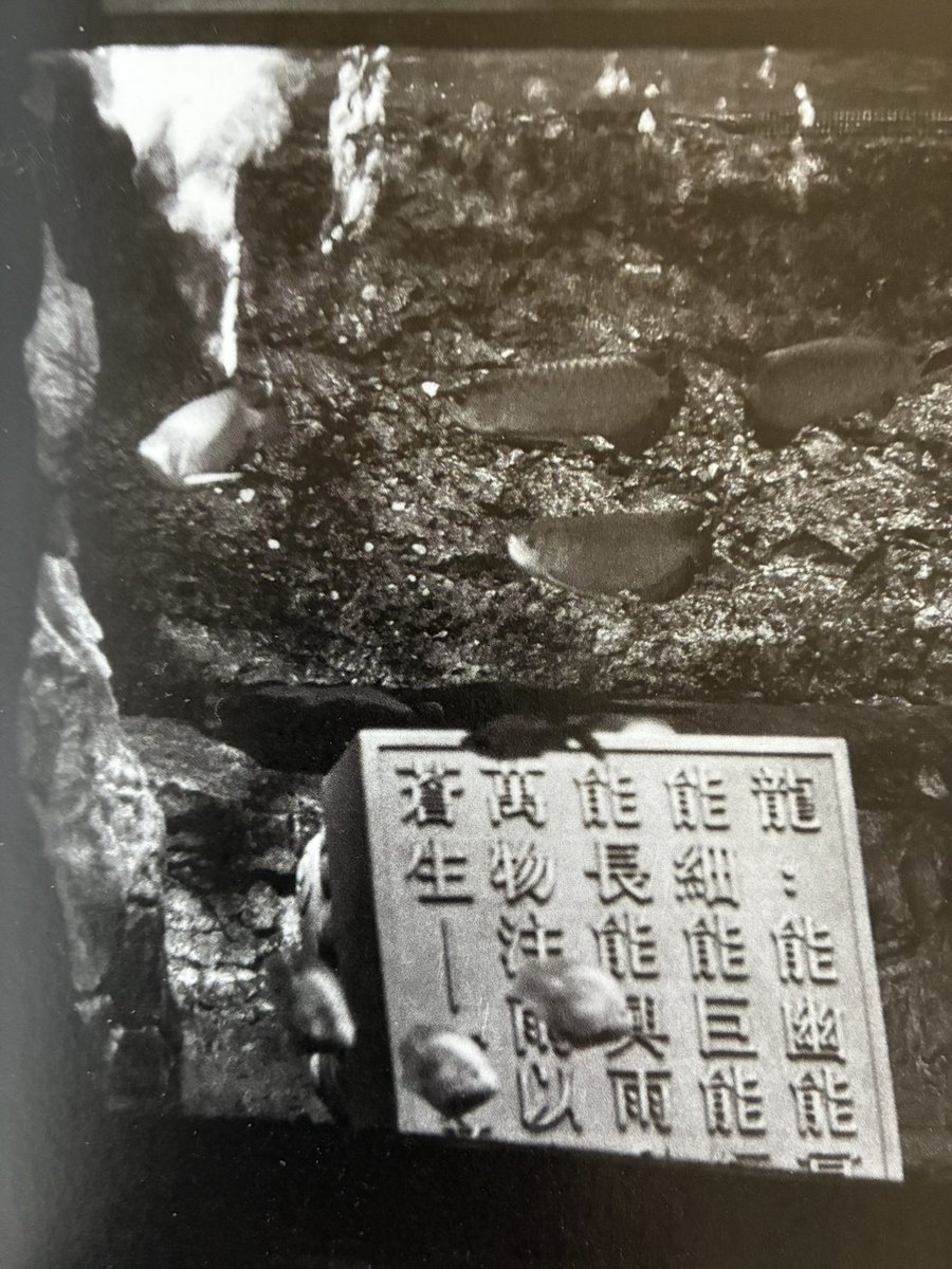 金村修 Osamu Kanemura tweet media