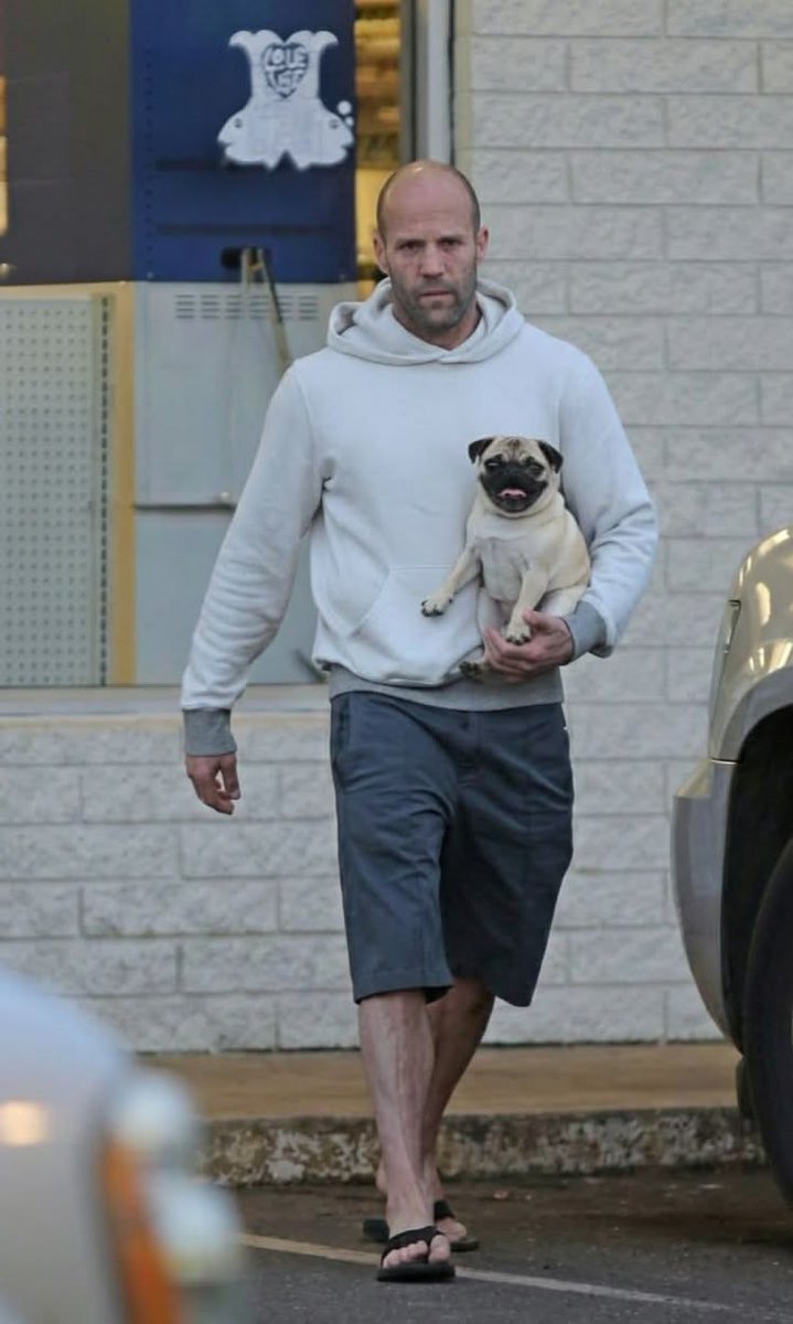 パグのトランプ tweet media